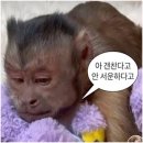[코이카 해외봉사단] 파견지 아프리카 우간다로 출발🇺🇬 인생 첫 장거리비행에 찌듦..