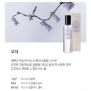 러비더비 이미지
