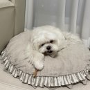 레이지키친 이미지