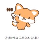 수나(SUNA) 이미지