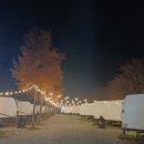 피노키오2 | [원주] 원주 피노키오숲 카라반 1박2일 이용후기