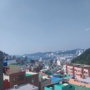 부산지역소주 대선 먹은 후기 (보수동, 영도 여행정리모음집, 과거로 돌아간 추억보물섬)
