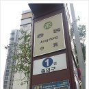 개 키우는 언니 네이버블로그