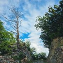 화원2리마을회관 이미지