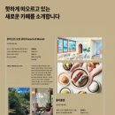 올리볼렌 이미지