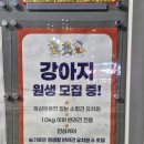 버스정류장 옆 횡단보도(송림휴먼시아1단지104동 건너편) | 부평구 24곳에서 만나는 "슬기로운 멍생활", 우리 아이의 두 번째 집