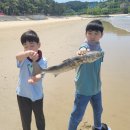 솔밭해안가펜션 이미지