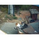 낭만칼국수 이미지