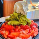 서울 종로 설빙 종각점 생딸기트리설빙 후기