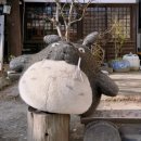 유노추보 이미지
