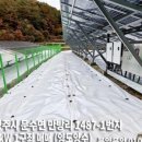 영주태양광발전소 이미지