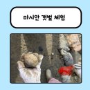 용유로 | 인천 마시안갯벌체험 | 주차 근처 식당 후기