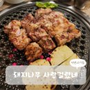 돼지나무 사랑걸렸네 이미지
