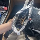 혜영이네김밥 이미지