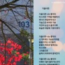 [일상] 빼빼로 고급 초콜릿 후기 및 추천 - 토이셔(Teusher) &amp; 아르메리아 쇼콜라(Armeria)