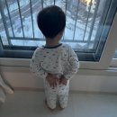 윤조목장 | 24개월 아기사람의 겨울 │ 아침용 초단간 김밥 + 첫눈 + 강동이케아 애착인형/릴라보 신상 + 자일리톨...