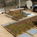 고운농장 이미지