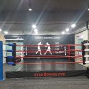 천안 스타복싱짐 이미지