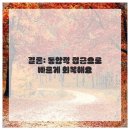 노원마디원신경외과의원 네이버블로그
