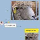 유일양꼬치 이미지