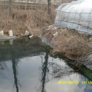 경안천로 이미지