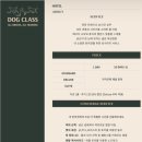 독클래스 이미지