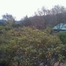 사곡리농장 이미지