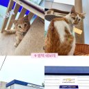 한국지엠평택지정서비스 | | 한국지엠 평택지정서비스 | : 평택 쉐보레 오일교환,에어컨에어필터 가격 공유 🤔