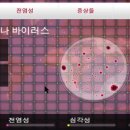 주식회사 플레이서 이미지