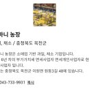 인간극장 피어라 선옥, 복숭아 농사와 다마니 농장 판매 이야기