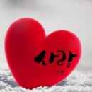 사랑도 티스토리