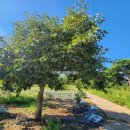 당진센트럴시티부동산중개사무소 이미지