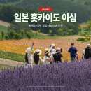 북해도 - 송파구 삼전로12길 7 | 일본 홋카이도 이심 사용 후기, 북해도 여행 유심사 eSIM 추천 후기