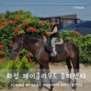 [화성] 제이 클라우드 승마센터(말타기, 승마체험, 화성승마장)