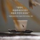 네마지기 이미지