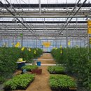 귀농1 | 2026.03.09 청년귀농 교육 1일차 선배 농가 방문 후기 (안녕삼촌농부)