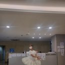 발레숲무용학원 이미지