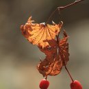 홍순복 | 부안 경지재(敬止齋)