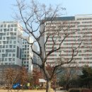 가든부동산공인중개사사무소 이미지