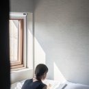 단심스테이 이미지