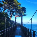 그린스타약국 이미지