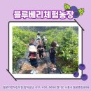 월곶자연어린이집 이미지