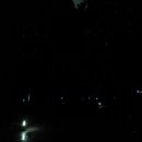 대숲사이 이미지