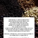 복기농장 | 겨울, 차를 연구하고 기록하고 안내하는 길을 복기하며. 몸과 마음 건강하고 향기로운 새해 맞이하시길...