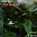 세계꽃식물원