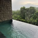 [발리 우붓 숙소]고야부티크리조트(Goya boutique resort) (feat. 슈페리어 스위트룸, 풀빌라, 조식...