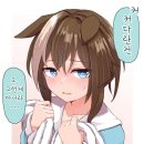 슈발 이미지