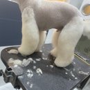 딱이네미용실 이미지