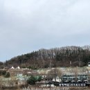 뚜디니의 마장호수출렁다리맛집 봉평메밀/베르테라 내돈내산 후기