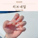 리브네일 - 부평구 부평문화로194번길 42 | 울산 중구 네일 리브네일 약사동 젤네일 잘하는곳 꼼곰한 시술후기